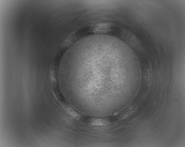 X0000074970755200609081411