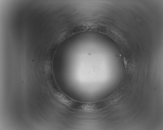 X0000074970756200609081411