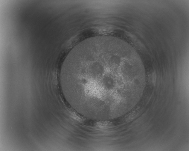 X0000074970757200609081411