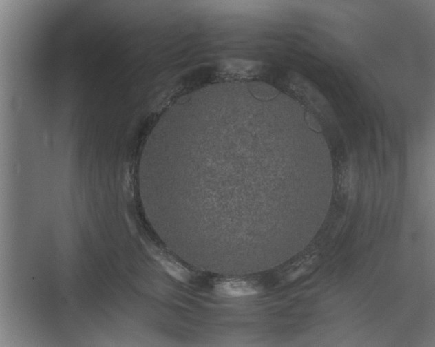 X0000074970759200609081411