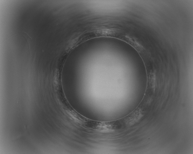 X0000074970760200609081411