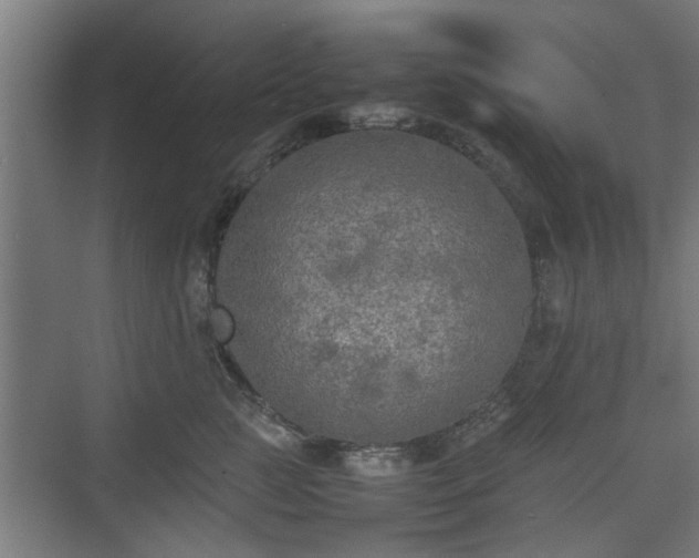 X0000074970761200609081411