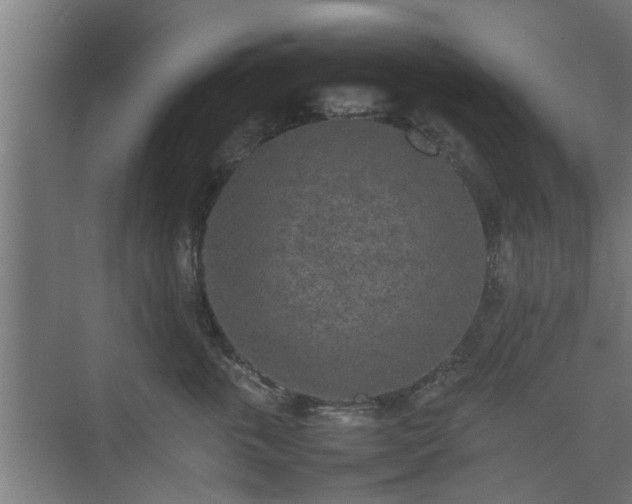 X0000074970763200609081411