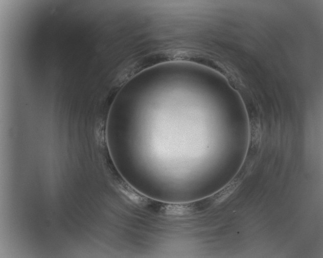 X0000074970766200609081411