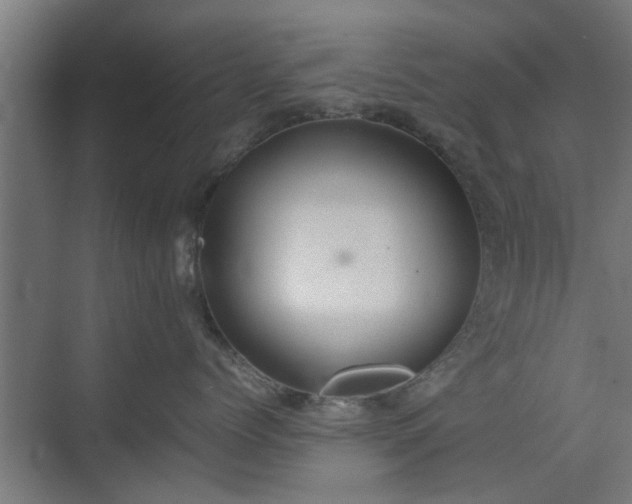 X0000074970768200609081411