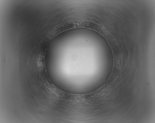 X0000074970770200609081410