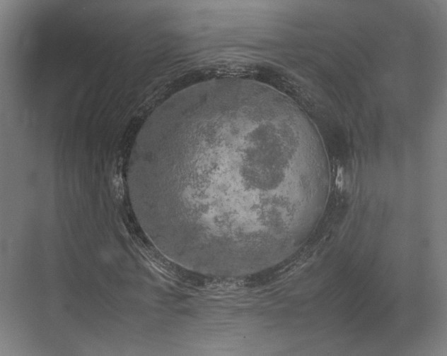 X0000074970771200609081410