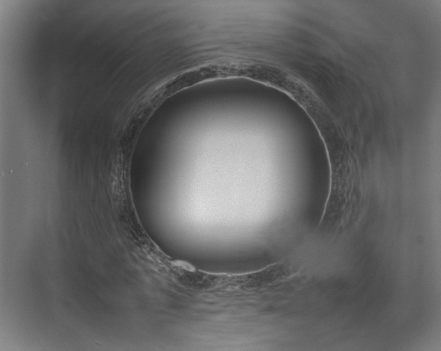 X0000074970773200609081410