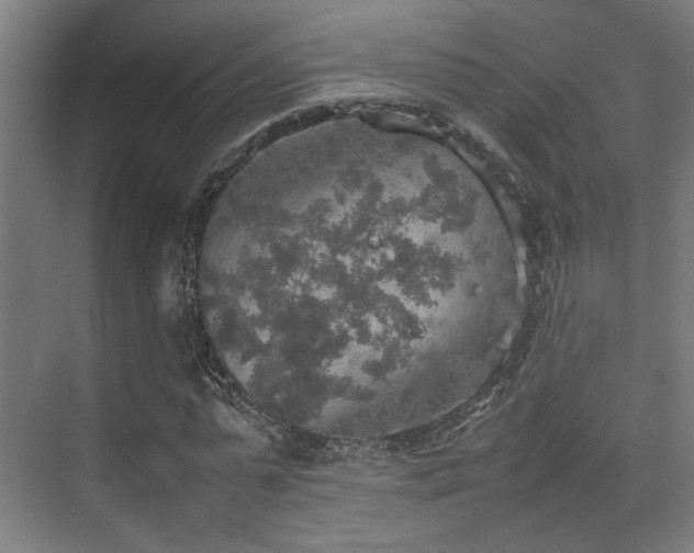 X0000074970775200609081410