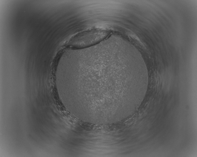 X0000074970776200609081410