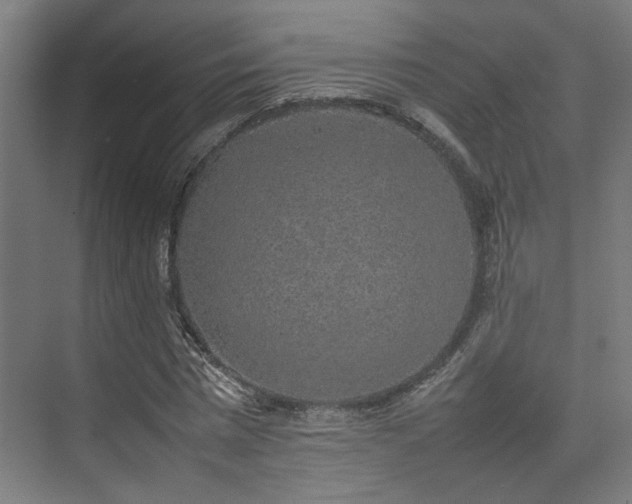 X0000074970777200609081410