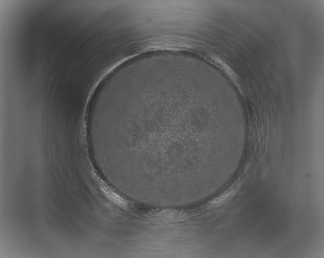 X0000074970779200609081410