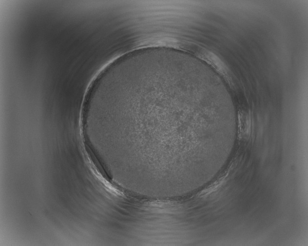 X0000074970780200609081410