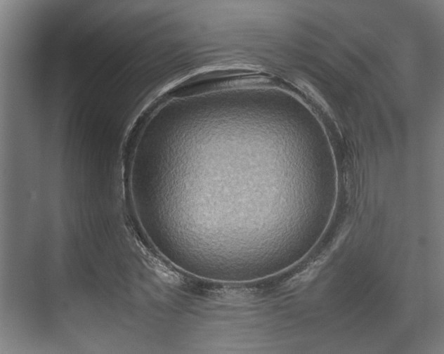 X0000074970781200609081410