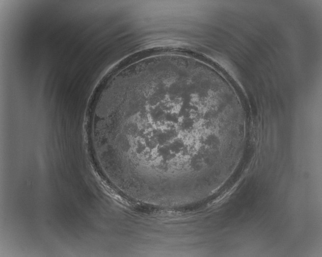 X0000074970783200609081410