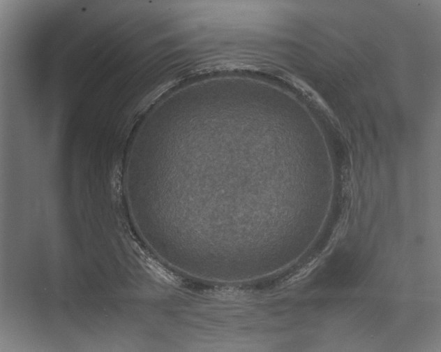 X0000074970785200609081410