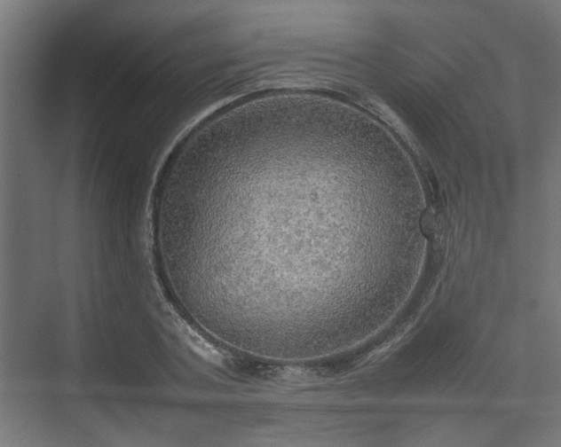 X0000074970787200609081410