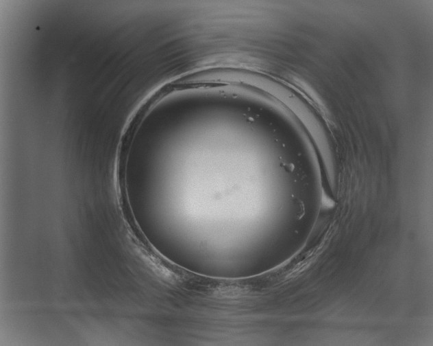 X0000074970788200609081410