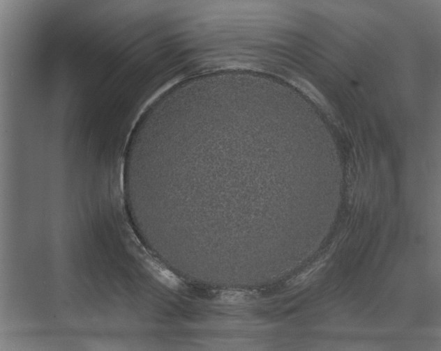 X0000074970790200609081410