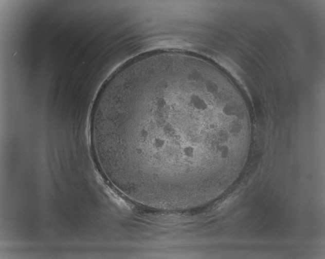 X0000074970791200609081410