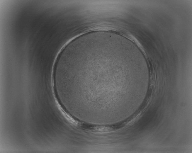 X0000074970795200609081410