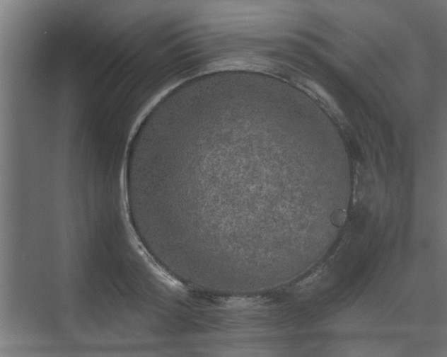 X0000074970796200609081410