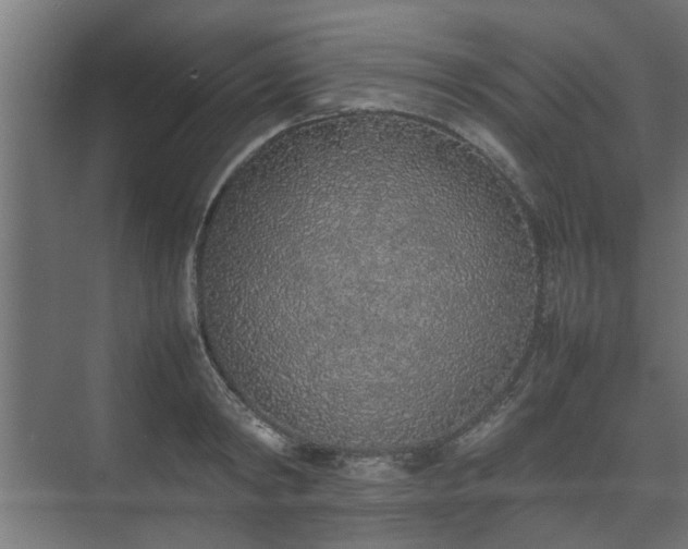 X0000074970798200609081410