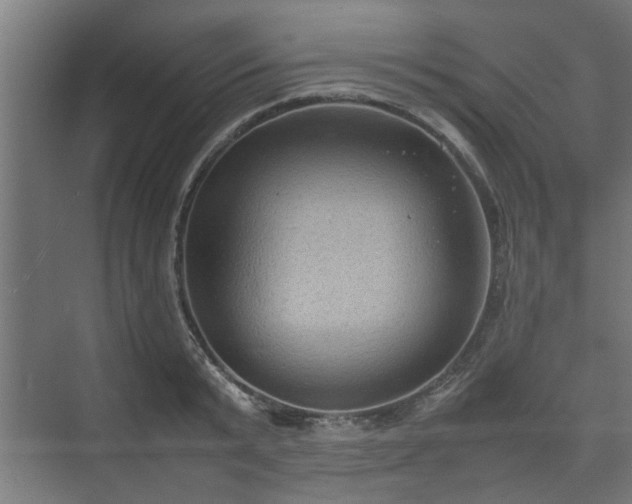 X0000074970799200609081410