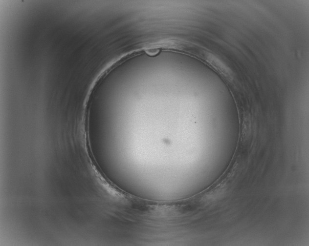 X0000074970800200609081410