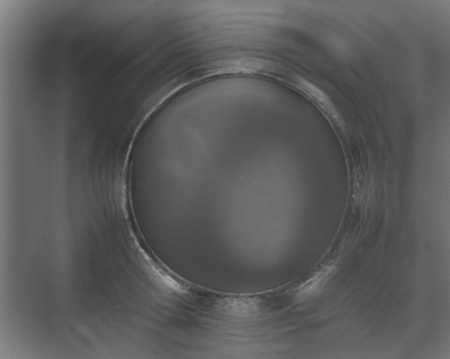 X0000074970802200609081410