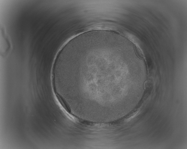 X0000074970803200609081410