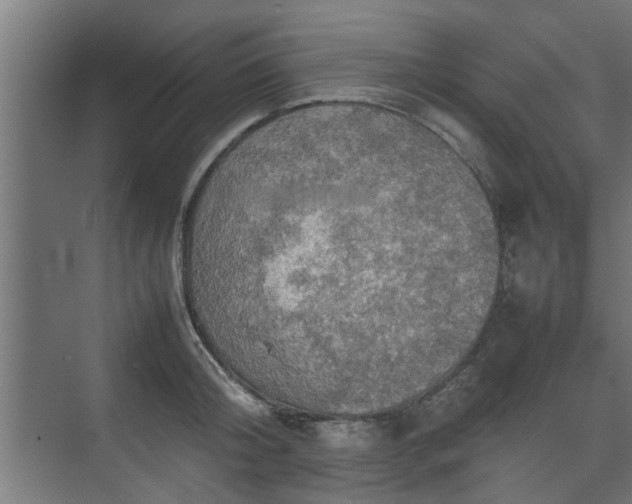 X0000074970804200609081410