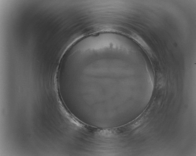 X0000074970806200609081410