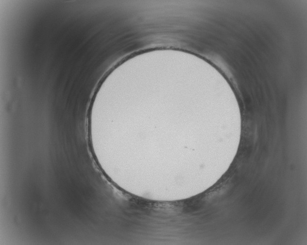 X0000074970807200609081410