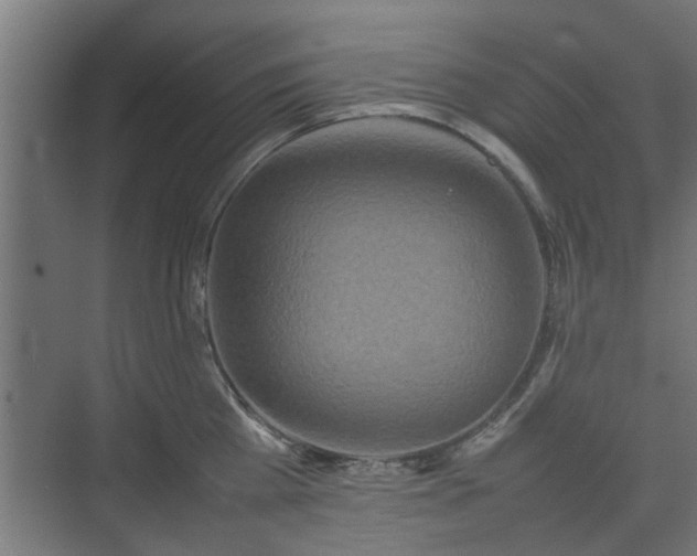 X0000074970809200609081410