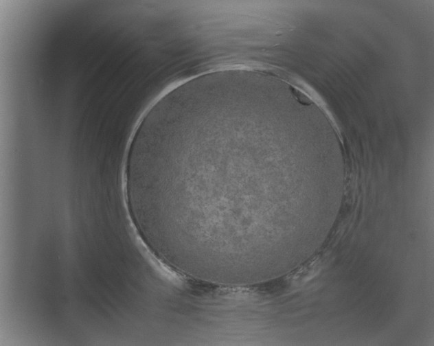 X0000074970811200609081410