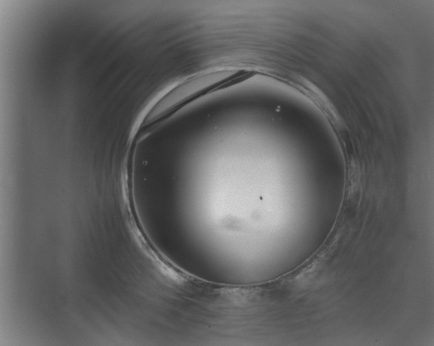 X0000074970812200609081410