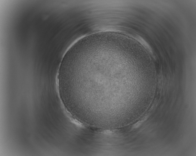 X0000074970814200609081410