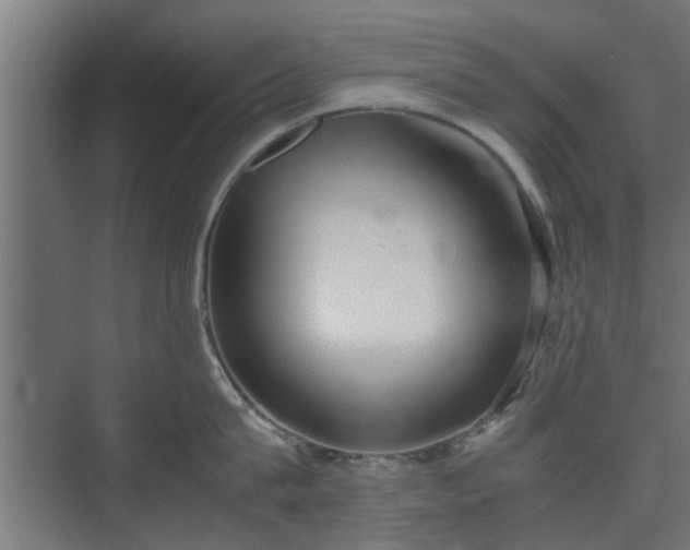 X0000074970815200609081410