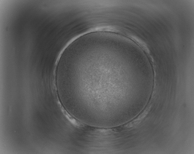 X0000074970816200609081410