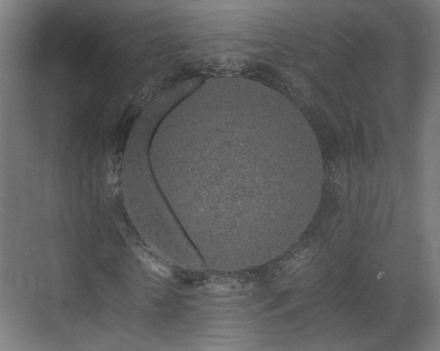 X0000074970818200609081409