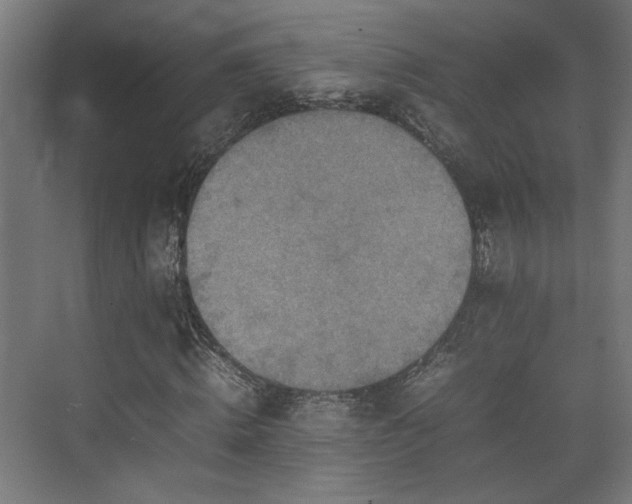 X0000074970820200609081409