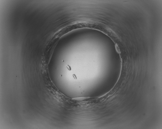 X0000074970822200609081409