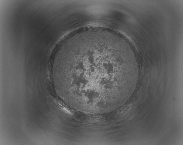 X0000074970823200609081409