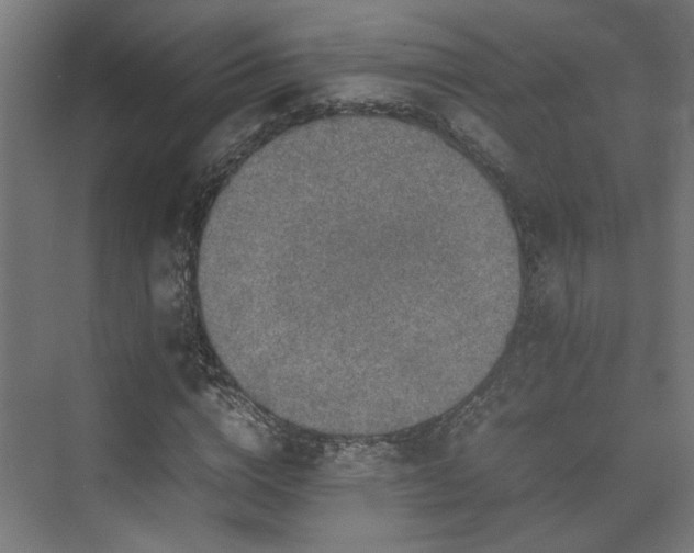 X0000074970824200609081409