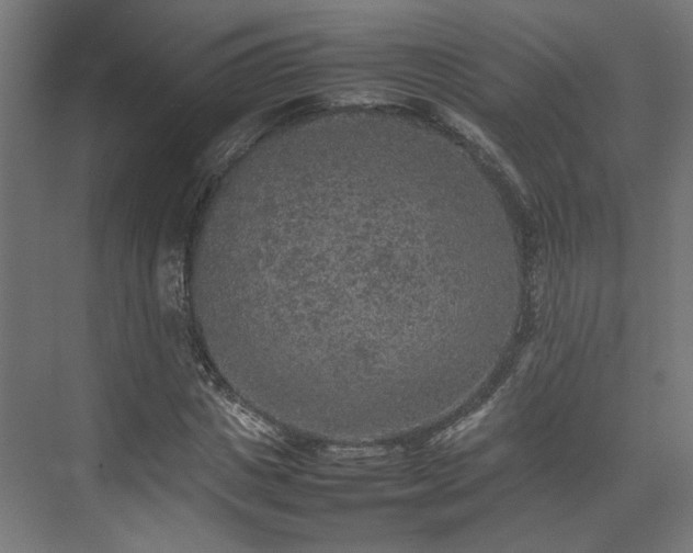 X0000074970825200609081409