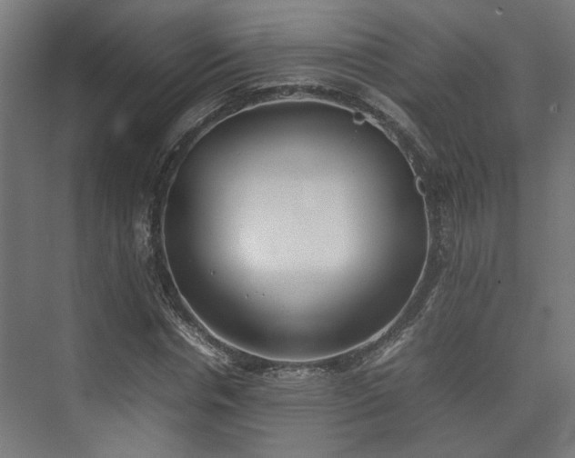 X0000074970826200609081409