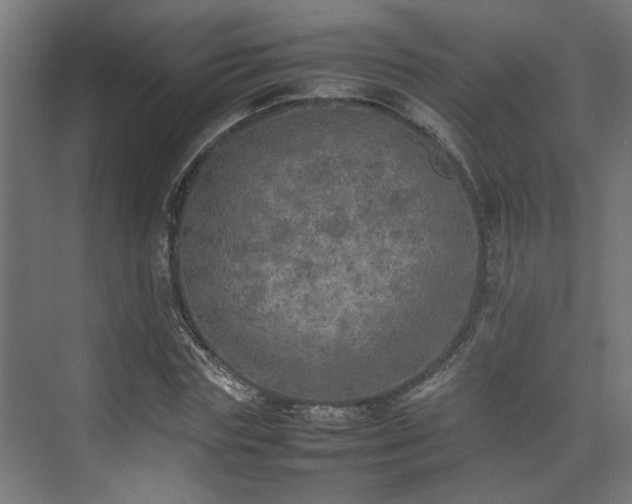 X0000074970827200609081409