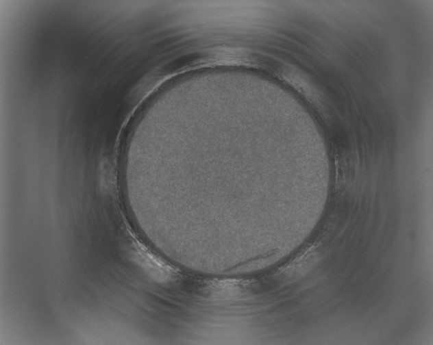 X0000074970828200609081409