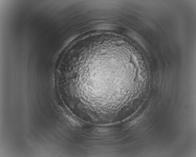 X0000074970829200609081409